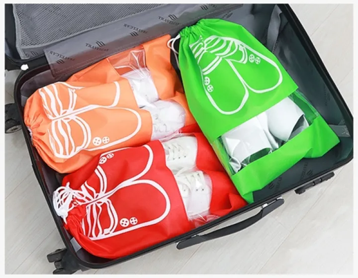sneaker bag travel