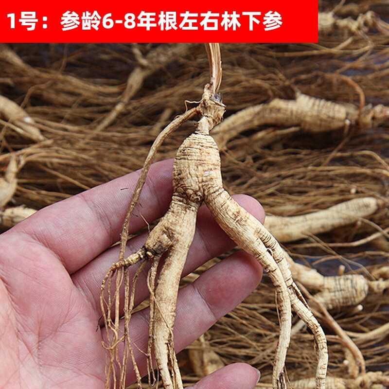 Changbai Mountain High Age Broken Fresh Ginseng Wild Ginseng Dry Goods Wholesale