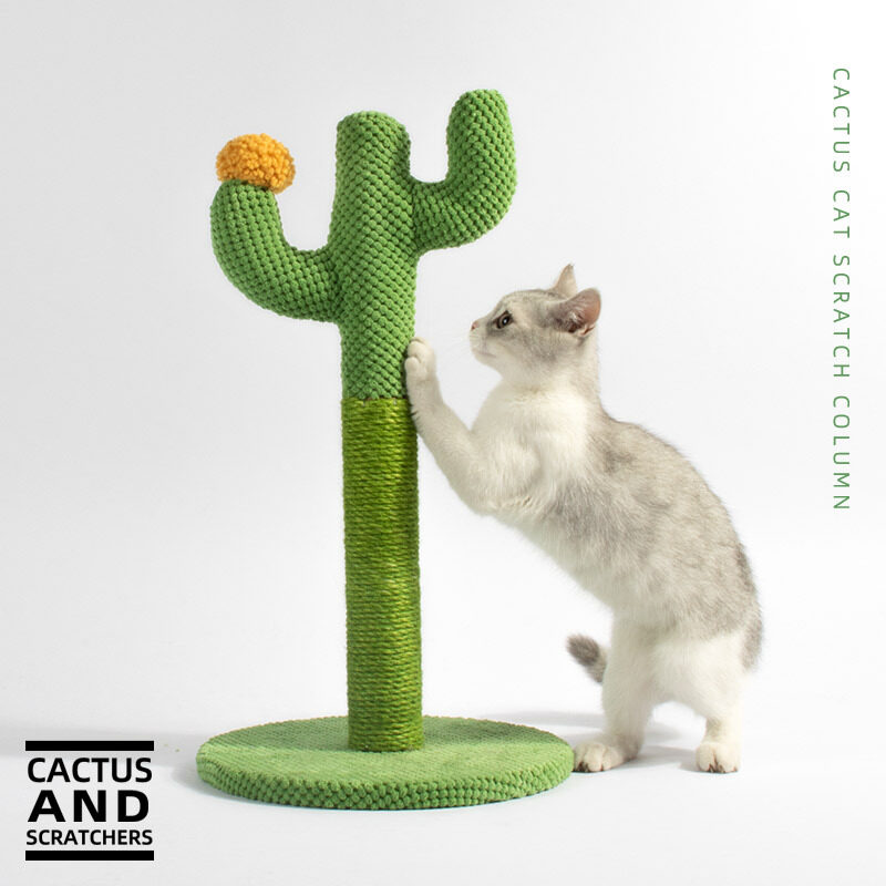 cactus cat scratcher