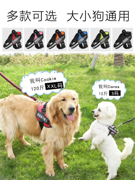 large breed dog leash