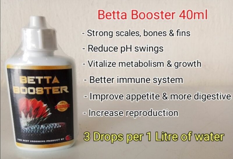 betta booster