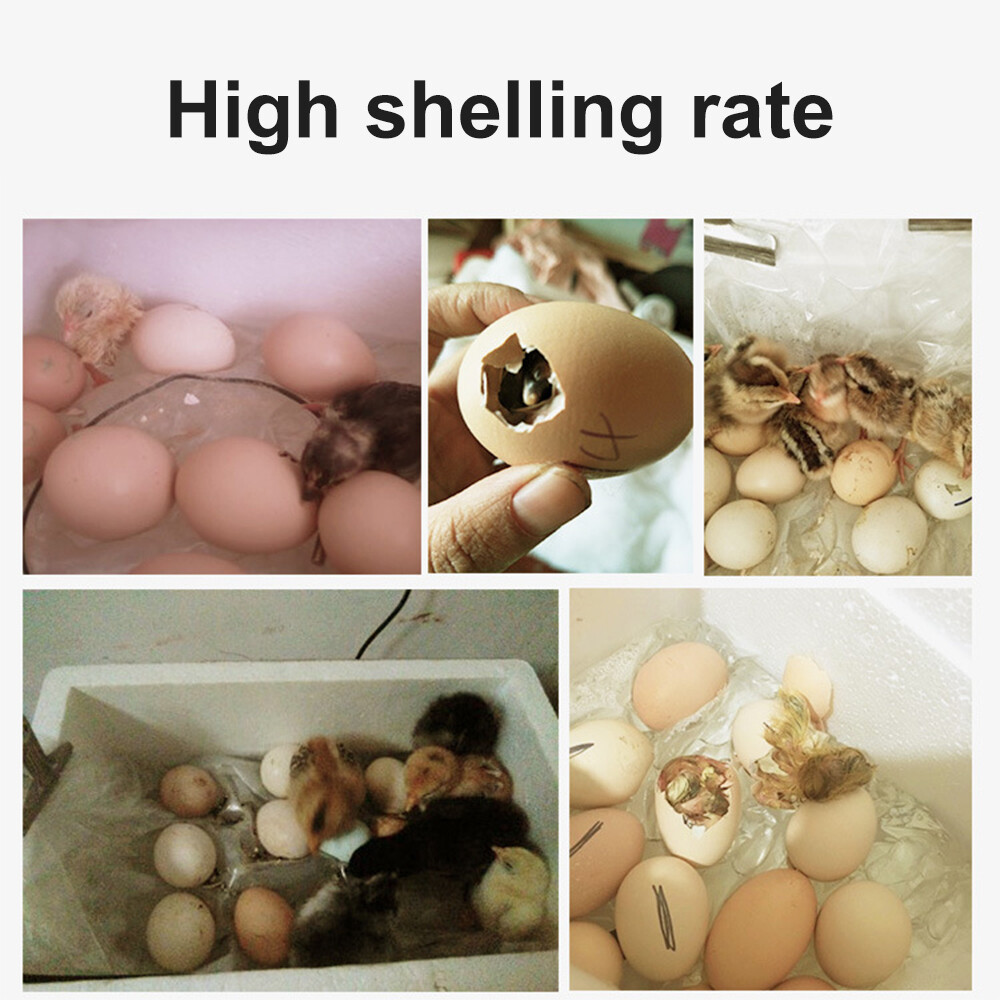 【Ready Stock】Original Aideepen Automatic Temperature Control Incubator Tool Household Foam Bionic Incubator for All Kinds of Poultry Eggs Choose 20 Pieces/22 Pieces/42 Pieces/50 Pieces