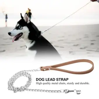 metal dog leashes and collars