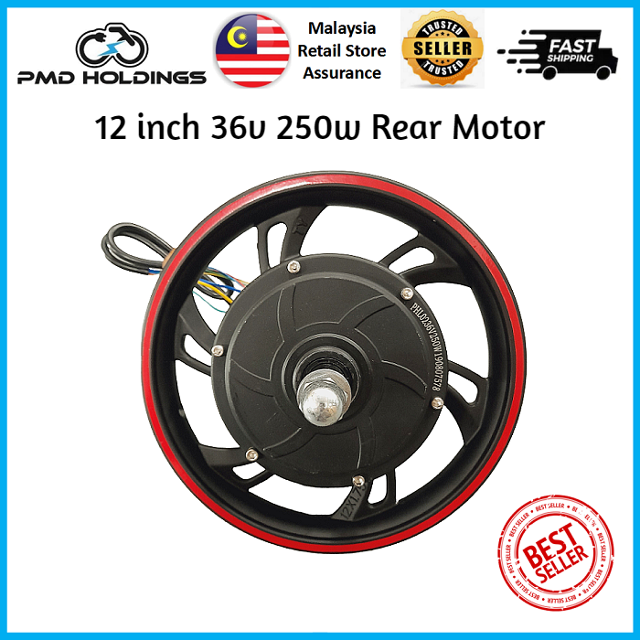 Ready Stock 12 Inch 12inch 36v 250w Rear Brushless Dc Motor For Dyu Am Gtr Electric Scooter 5909