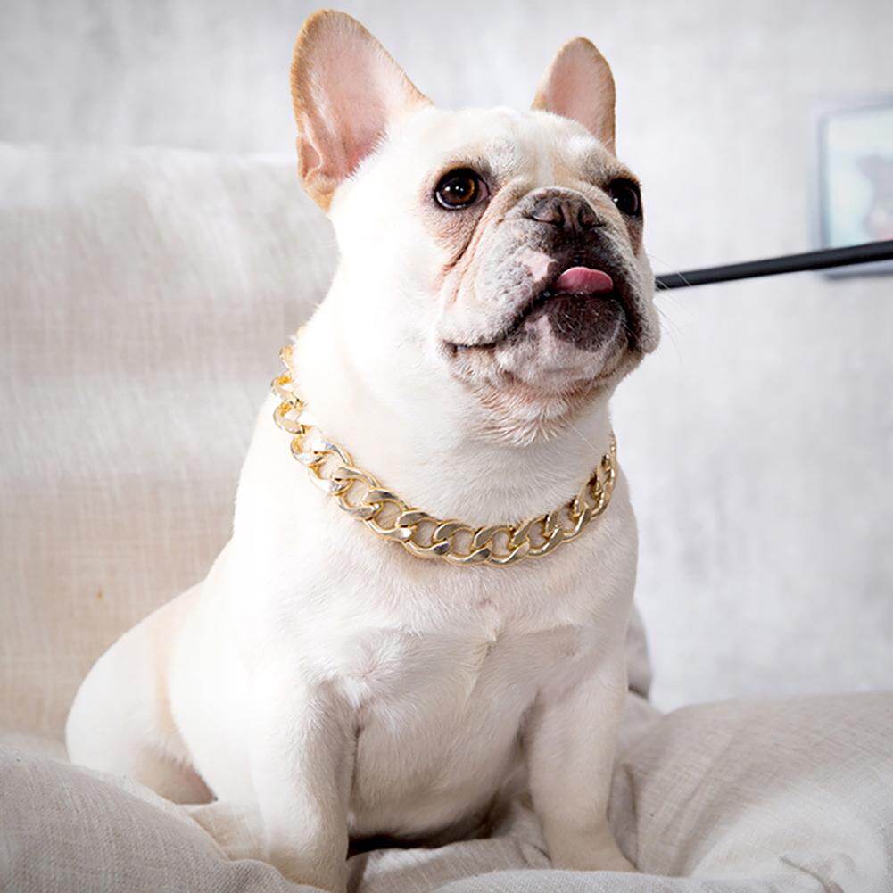 Vòng cổ cho chó Pitbull Bulldog có thể điều chỉnh Huấn luyện viên Aixuexi - INTL