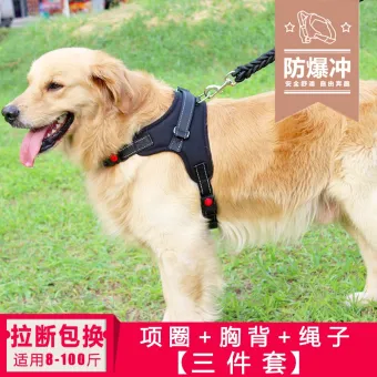 large breed dog leash