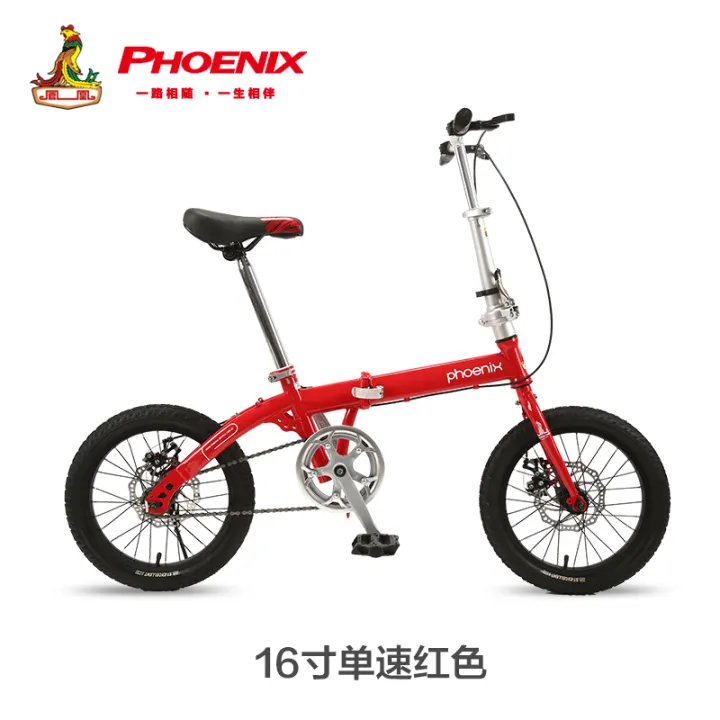 phoenix folding bike