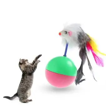 cat toys lazada