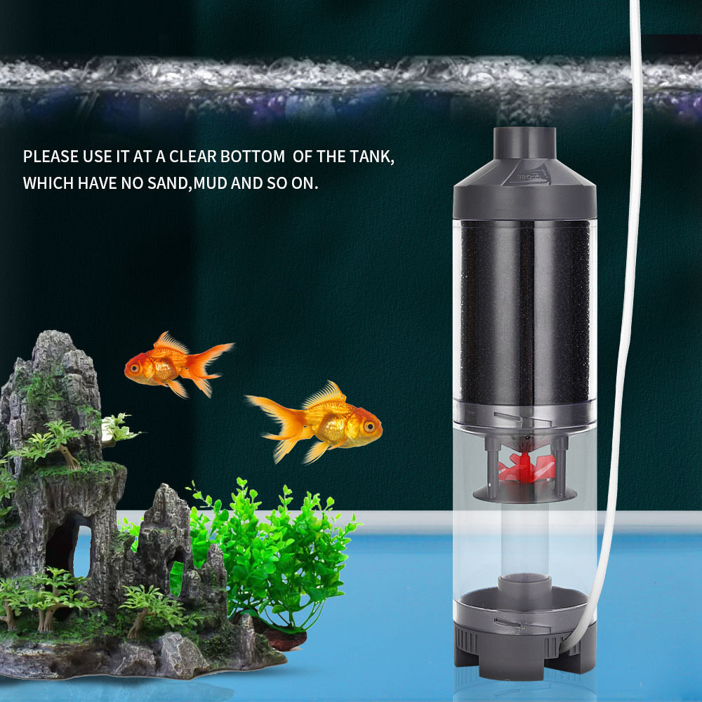 Bảy Master trong suốt phân cá Collector bể cá hồ cá làm sạch bộ lọc