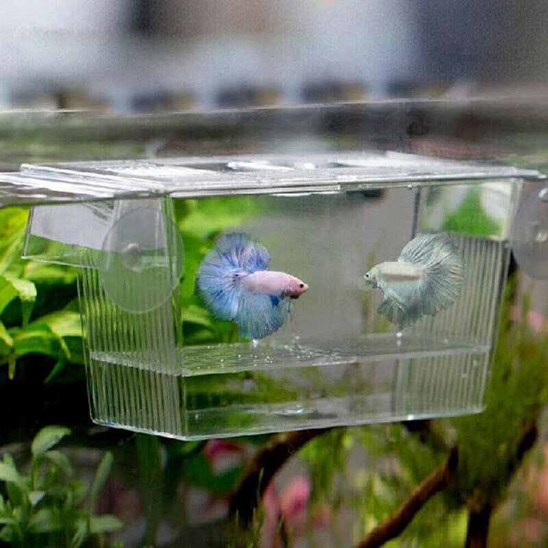 Bể Cá Thủy Sinh Dễ Thương Guppy Máy Tạo Giống Kép Hộp Bẫy Nuôi Máy Ấp Trứng