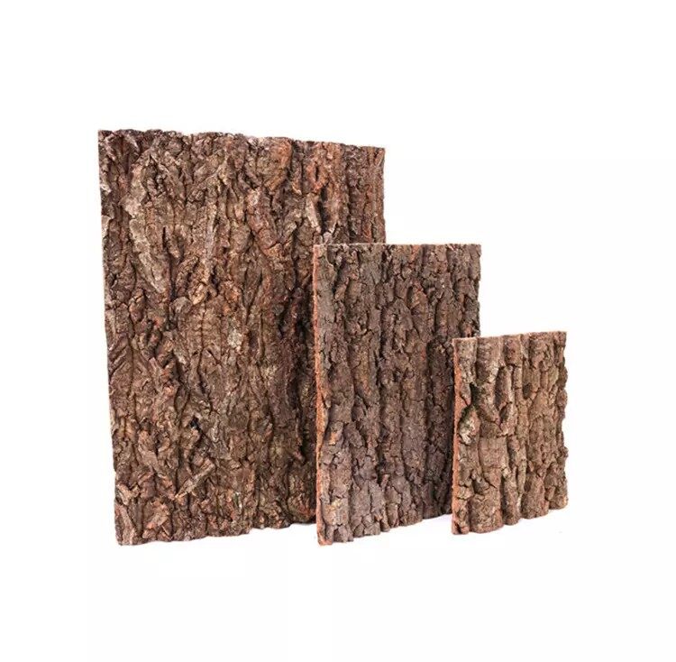 Natural Flat Cork Bark For Reptile Terrarium | Lazada