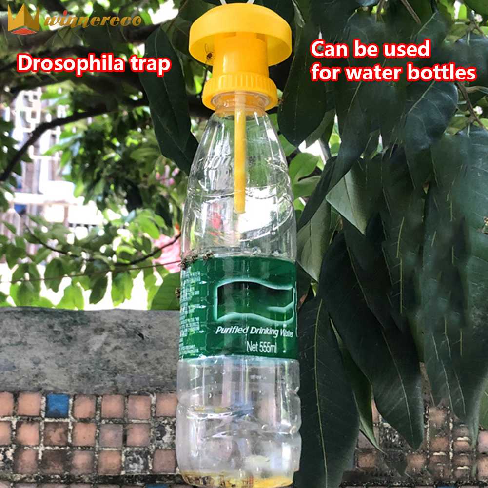 Fruit Fly Trap Killer Insect Pest Antimosquito Farm Orchard Garden Control