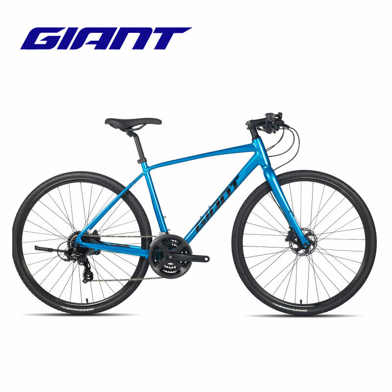 giant single speed bike