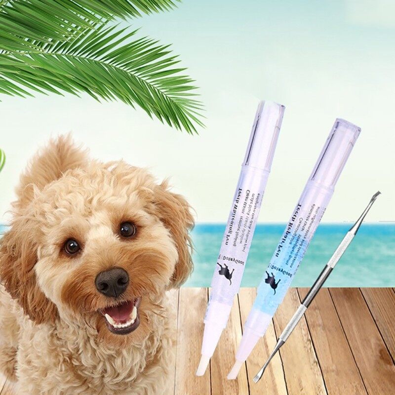 Bộ Dụng Cụ Sửa Chữa Làm Sạch Răng Thú Cưng Bút Vệ Sinh Đá Nha Khoa Cao Răng Chó Mèo 5Ml Của Tôi giá rẻ