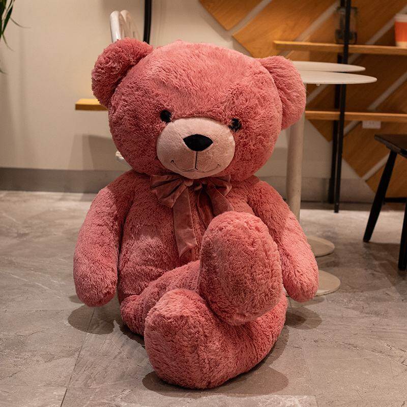 teddy medium size