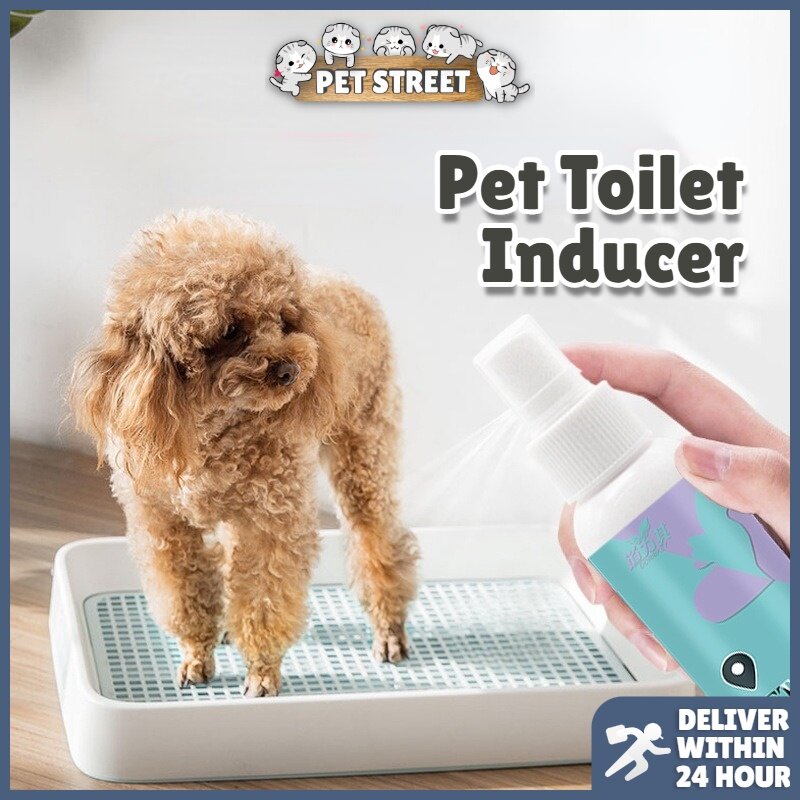 A Dog That Poop Fast