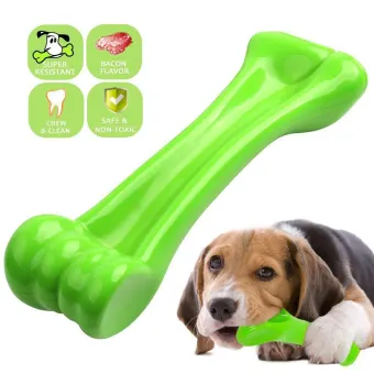 lazada dog toys