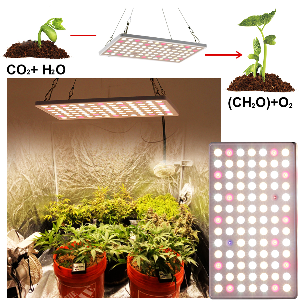 LED Grow Light 600W Samsung LM281B Diode Full Spectrum ปลูกโคมไฟ UV IR ...