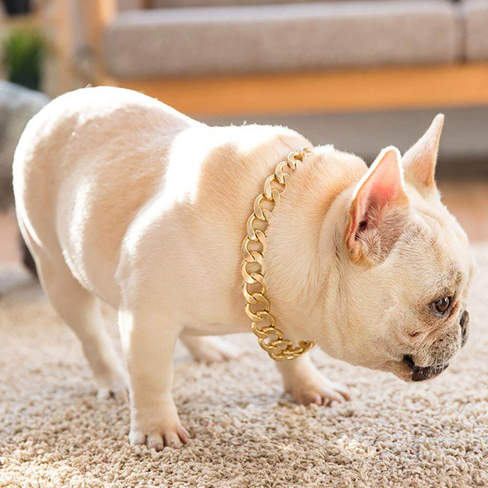Vòng cổ cho chó Pitbull Bulldog có thể điều chỉnh Huấn luyện viên Aixuexi - INTL