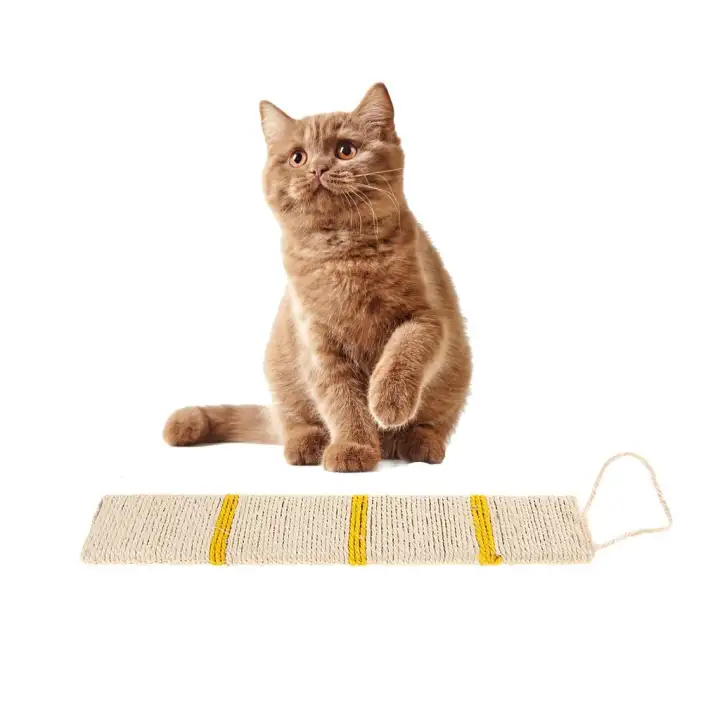 cat toys lazada