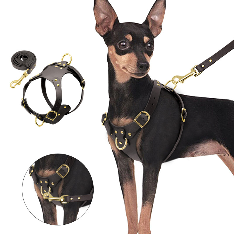Dog Khai Thác Vest Điều Chỉnh Da Chính Hãng Pet Dog Khai Thác Và Dây Xích Đi Bộ Cho Chó Nhỏ Vừa Pug Beagle Brown