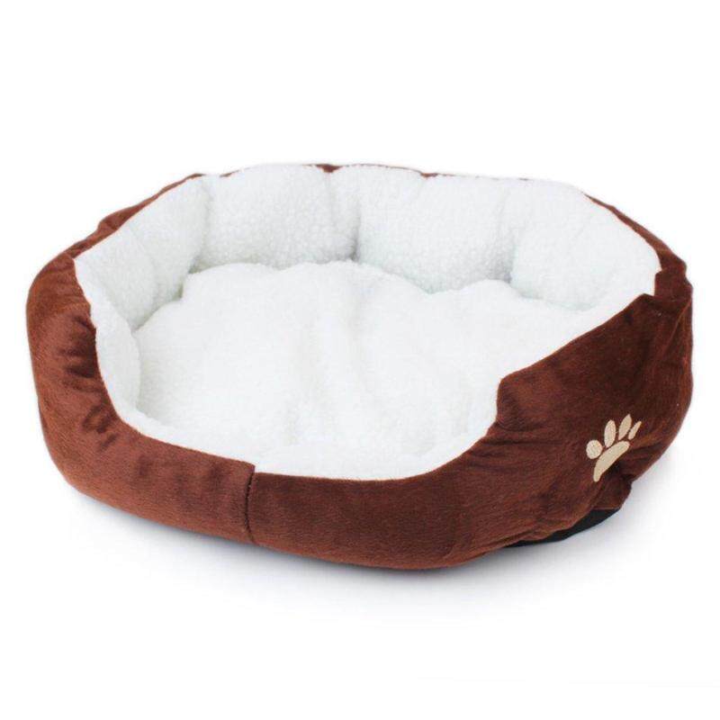 CFB Bốn Mùa Có Mèo Cashmere Chó Giống Thú Cưng Đồ Dùng Cho Chó Thú Cưng Nhà