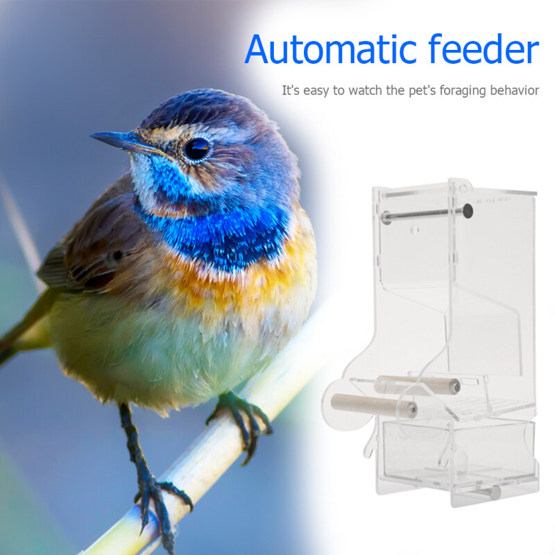 Pet Parrot Auto Bộ Nạp Trong Suốt Chim Chim Hộp Đựng Thức Ăn Chống Nước Dụng Cụ Cho Ăn