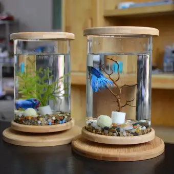 betta fish vase with bamboo