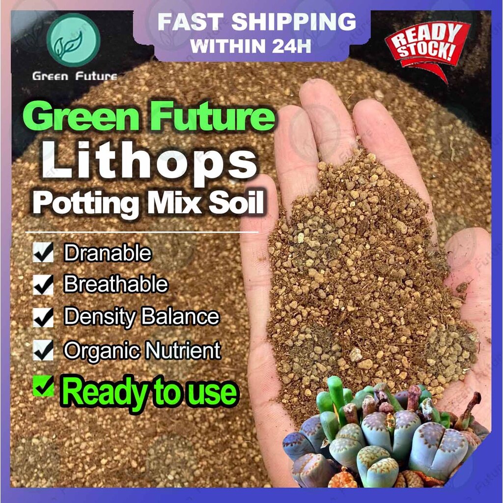 【READY TO USE】 Lithops Soil Mix Potting Soil 生石花专用土 屁屁土 生石花配土 生石花 多肉屁屁