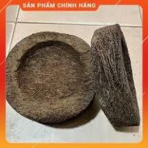 Chậu dớn trồng lan .