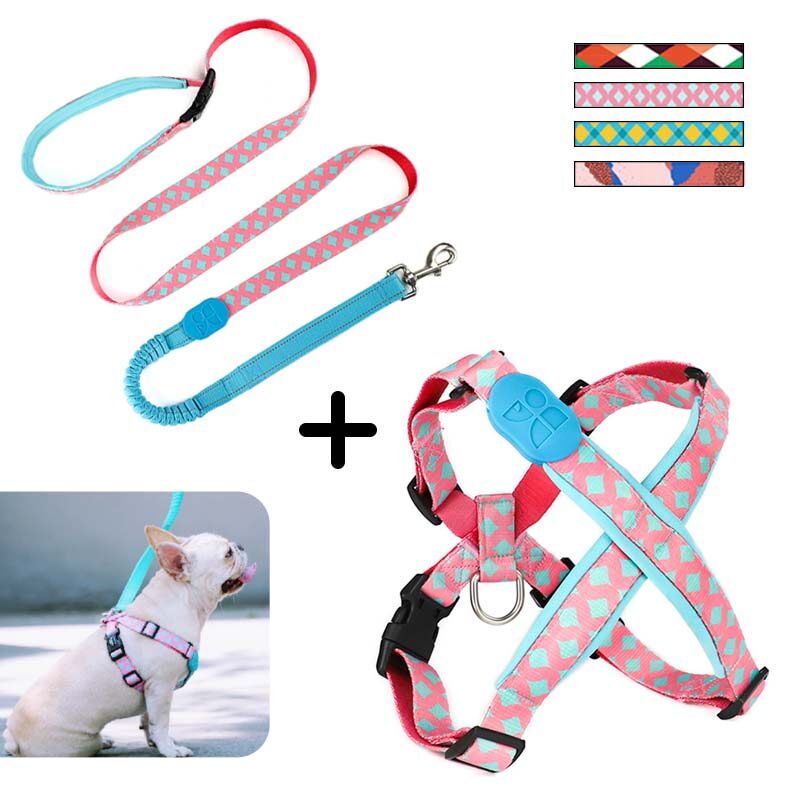 dollar tree dog harness