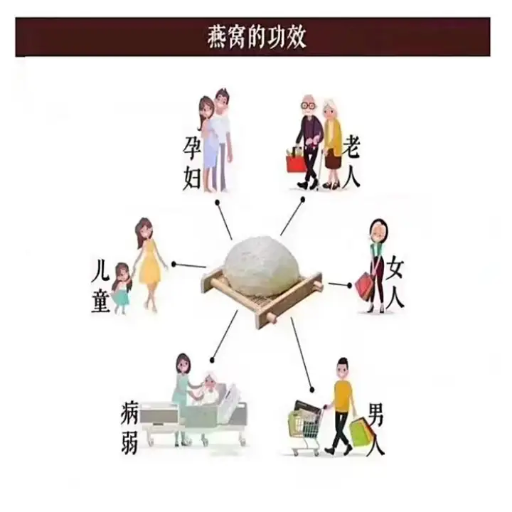 Ready Stock Bird Nest 30g 4 Pcs Golden Edible Sarang Burung Layang