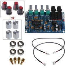 Năng Lượng Kép Bộ Khuếch Đại Micrô Board Âm Thanh Mô-đun Amp Kỹ Thuật Số Reverb Tấm