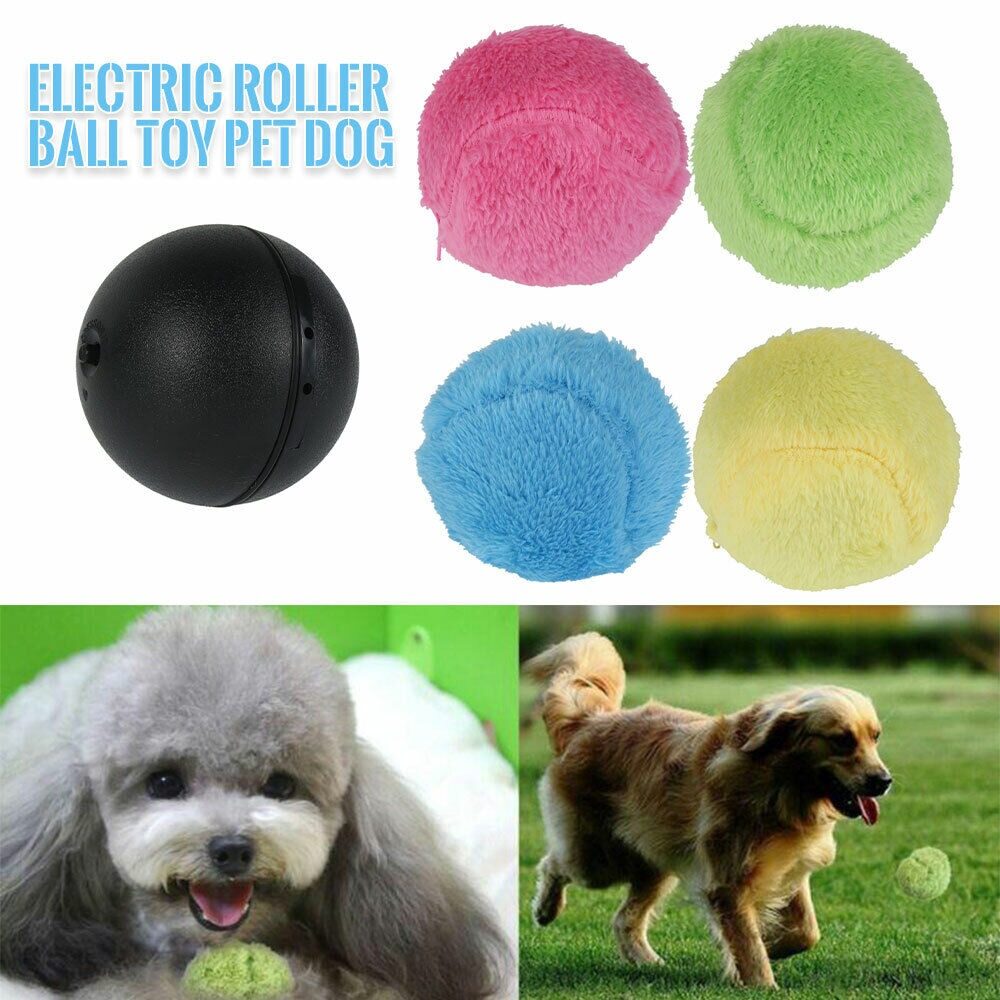 rolling ball toy for dogs