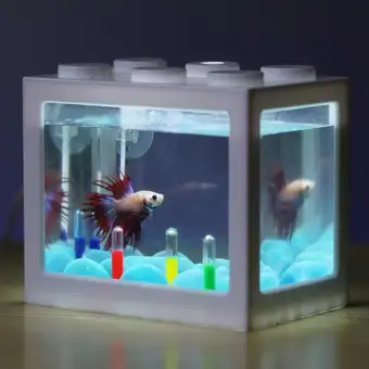 lazada betta fish