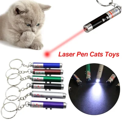 2 in 1 Creative Funny Pet LED Laser Pen Pointer Toy Keychain With Torch Cat Interactive Toy-Colour Random