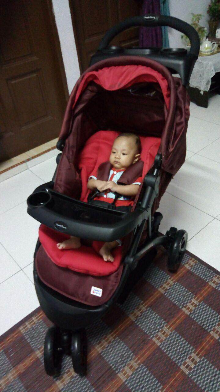 sweet cherry scr1