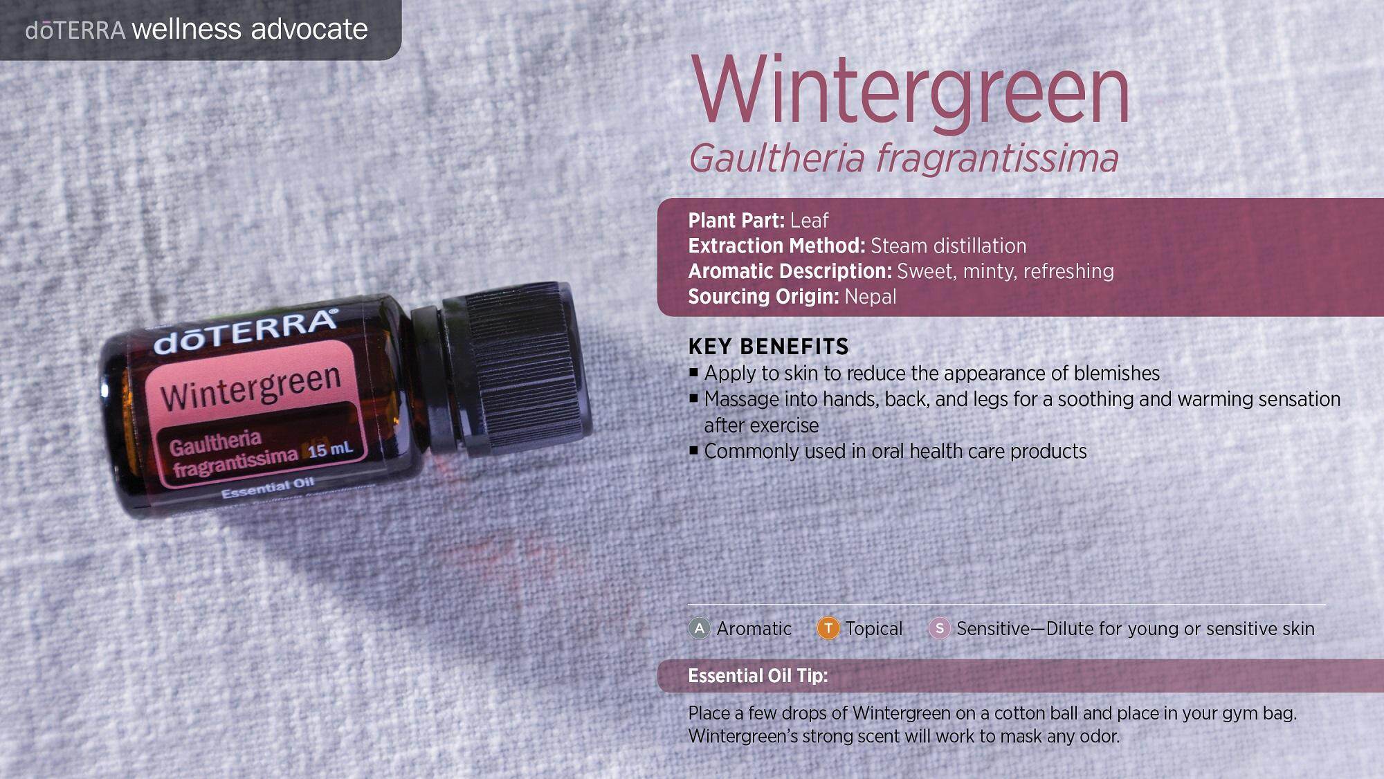 Doterra Wintergreen Gaultheria Fragrantissima Original Lazada