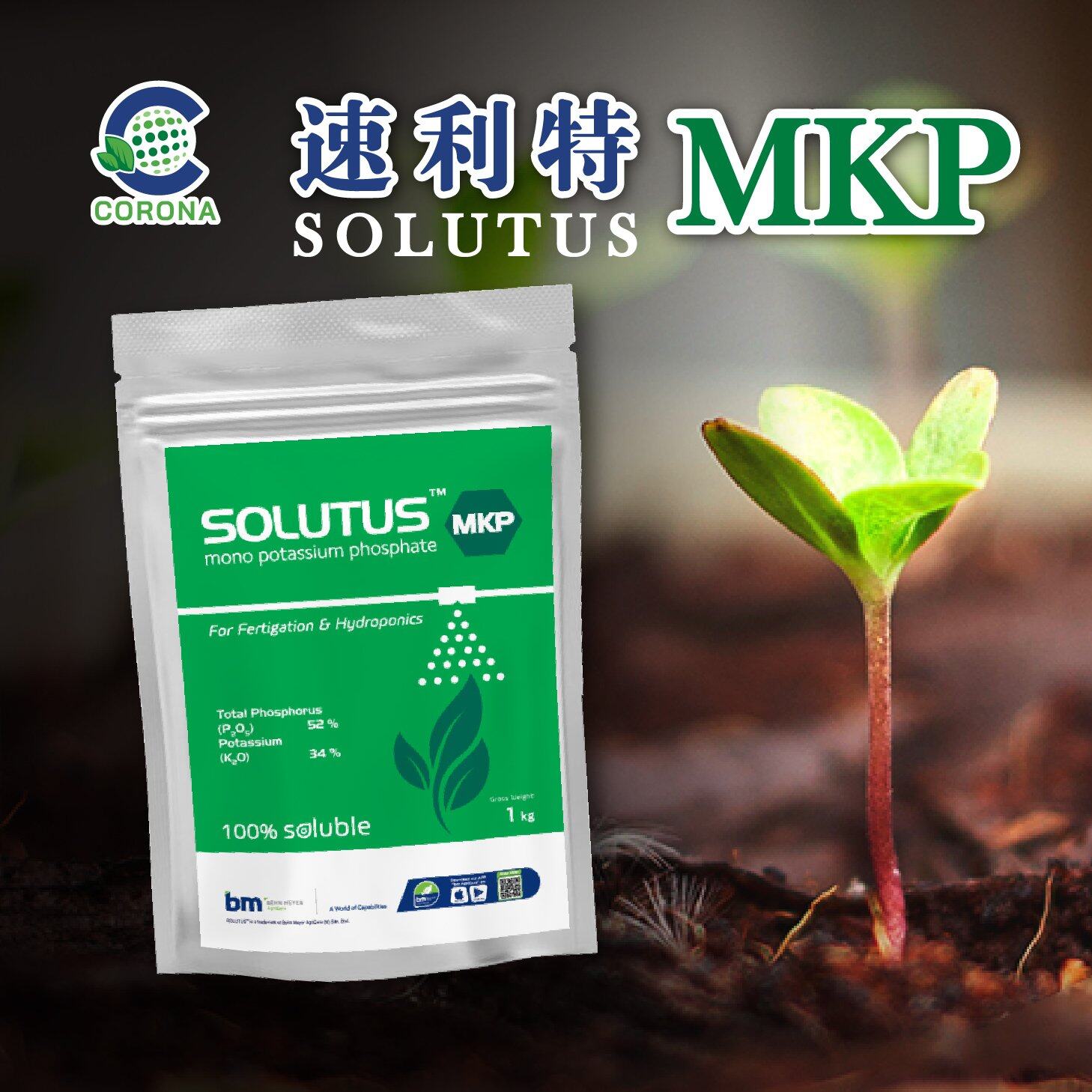 Mono Potassium Phosphate Fertilizers Solutus Mkp 磷酸二氢钾 1kg Lazada 9192