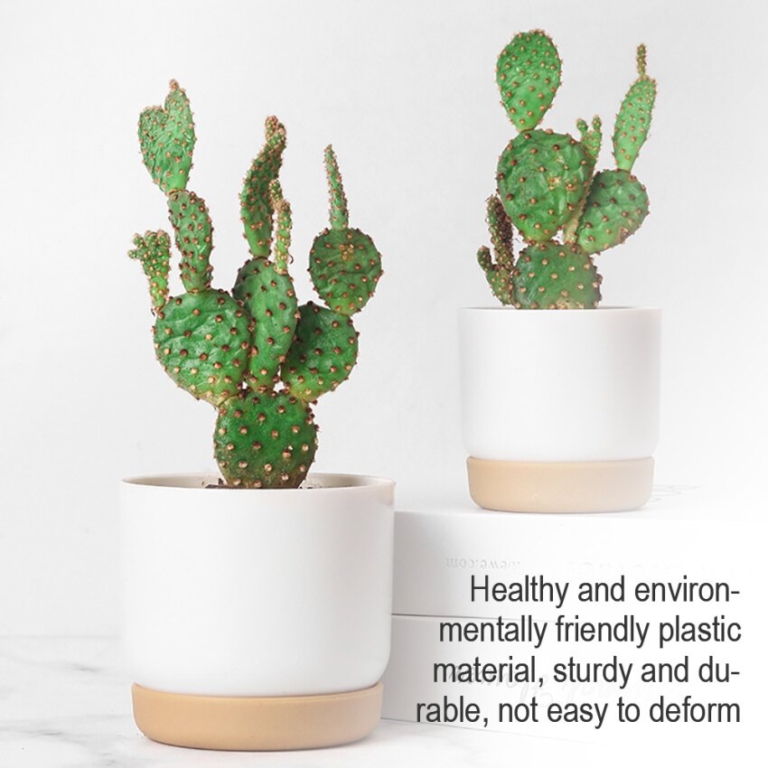 Double Succulents Vase Flower Pots Green Plants Garden Vase Table Decoration Flower Pots