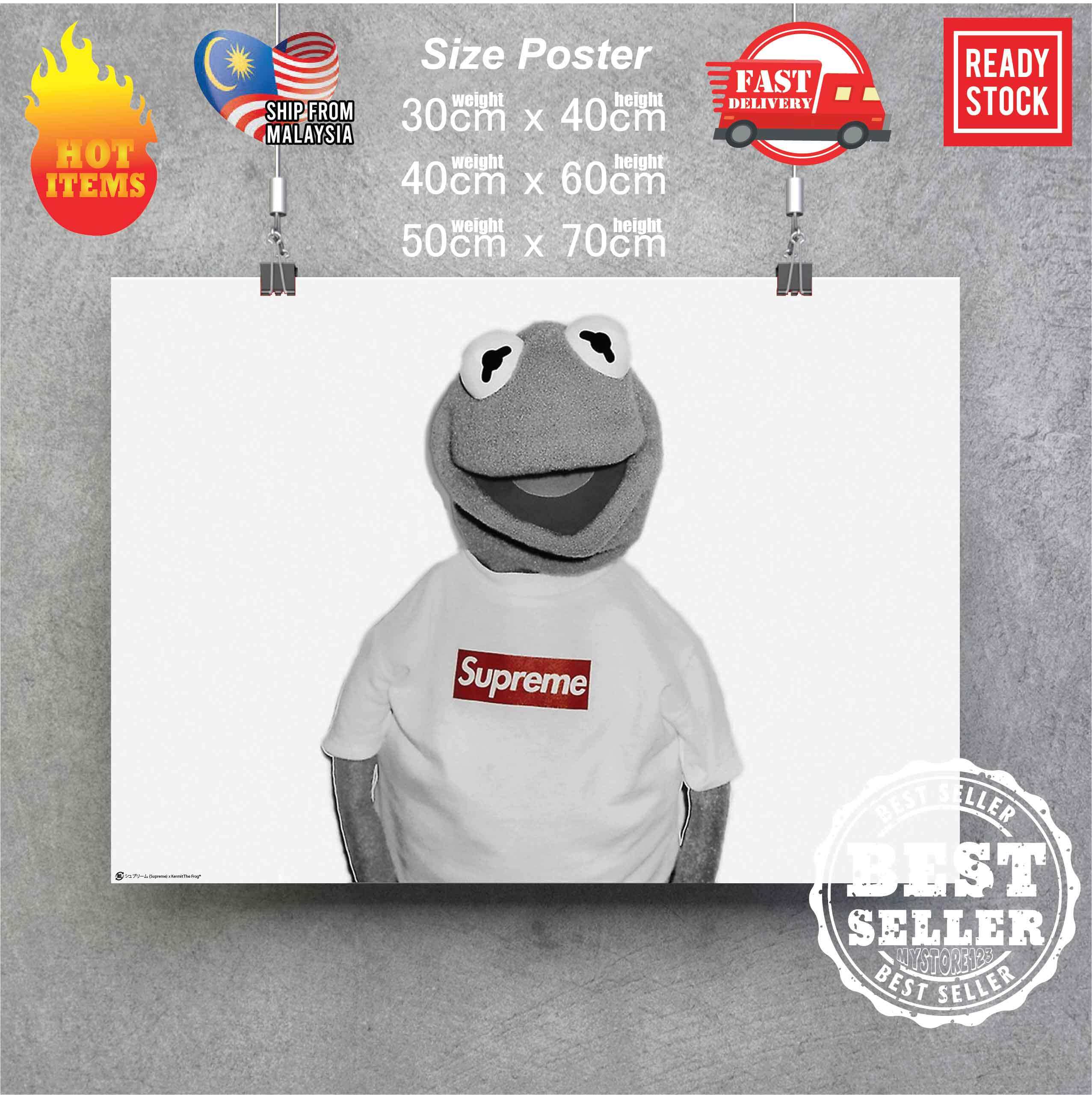 Supreme x outlet kermit