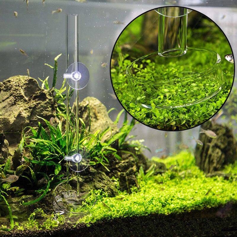 Acrylic Shrimp Feeding Dish Tray Fish Food Feeder Aquarium Fish Tank Feeding Tube Background Decoration