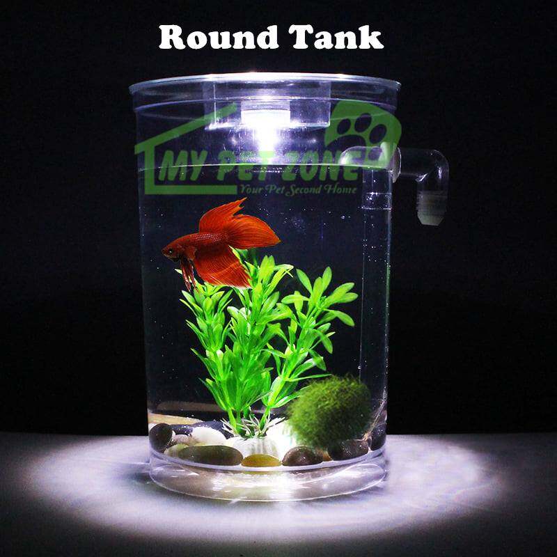 cleaning my betta fish tank
