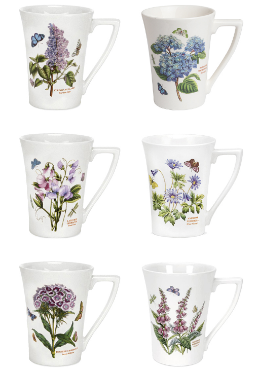 [Made in UK] portmeirion Vườn thực vật Mandarin Mug