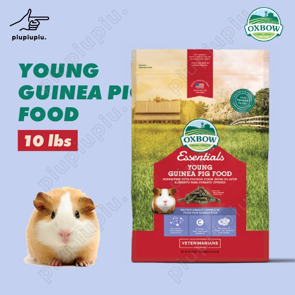 Oxbow guinea pig food 10 lb sale