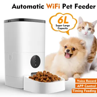 super feeder automatic cat feeder