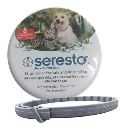 Are Seresto Dog Collars Safe Around Cats