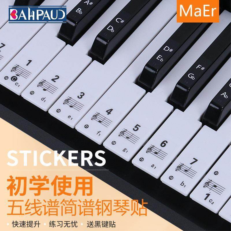 Bahpaud Piano Keyboard Stickers Keyboard Digital Staff Notation Music Notes Phonetic Paper Malaysia
