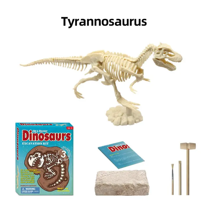 kids fossil kit