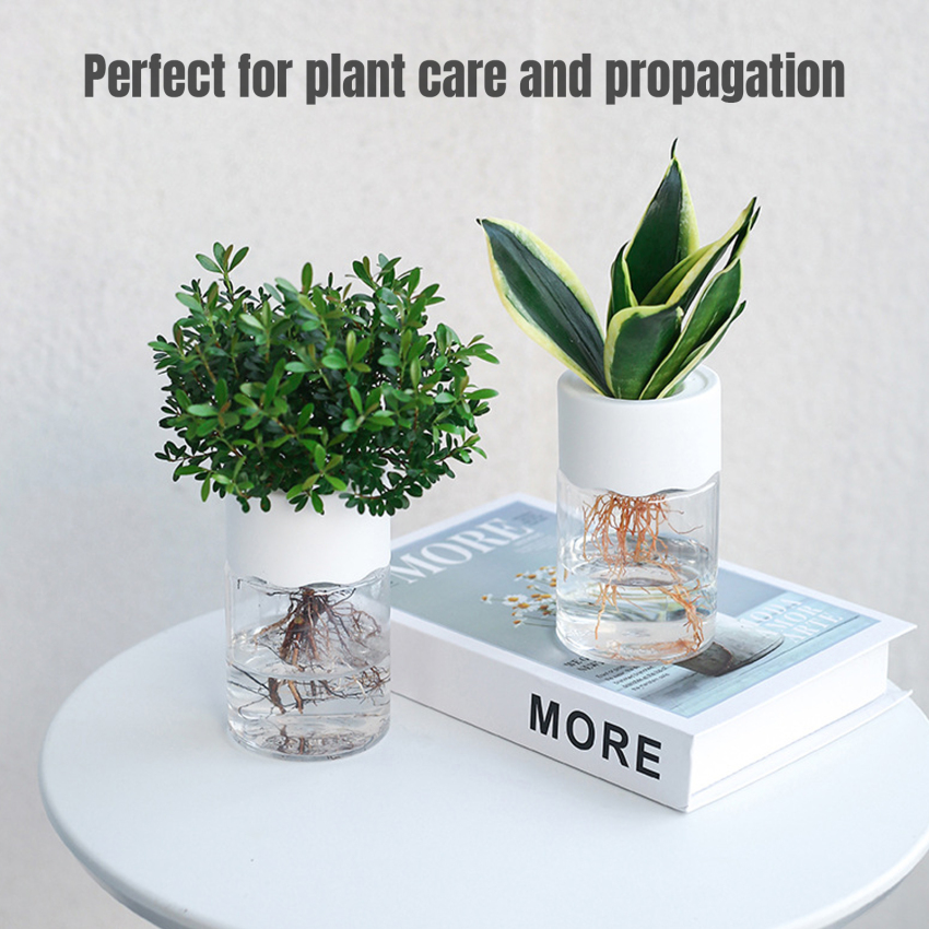 Transparent Hydroponic Flower Pot Water Planting Vase Container Plastic Tabletop Plants Bonsai Home Decoration